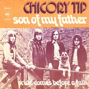 Son of My Father - Chicory Tip