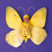 Butterfly Baby