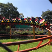 Roller - Six Flags Mexico