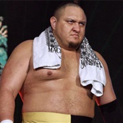 Samoa Joe