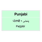 Punjabi