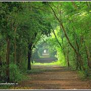 A Visit to Theosophical Society