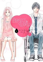 Perfect World Vol. 1 (Rie Aruga)
