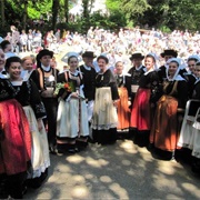 Festival De Cerisiers, La Forêt-Fouesnant