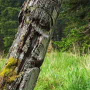 Ḵ'uuna Llnagaay (Skedans)