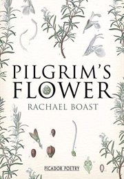 Pilgrim's Flower (Rachael Boast)