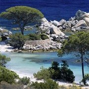 Palombaggia Beach, Corsica, France