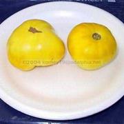 Lillian's Heirloom Yellow