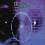 Sielwolf - Metastasen