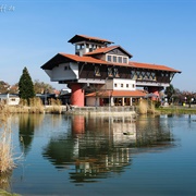 Haus Der Deutschen Weinstrasse
