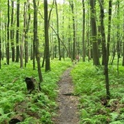 Laurel Highlands Hiking Trail, Pennsylvania