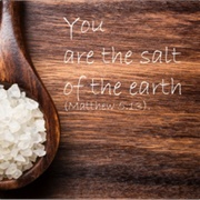 Salt of the Earth