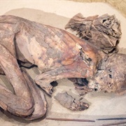 See Mummies