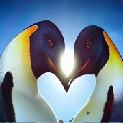 Memphis & Norma Jean