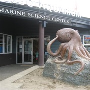 Poulsbo Marine Science Center