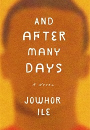 And After Many Days (Jowhor Ile)