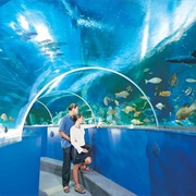 Blue Reef Aquarium Hastings