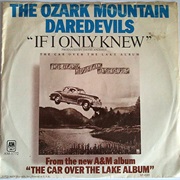 Ozark Mountain Daredevils - If I Only Knew