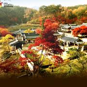 North Gyeongsang Province