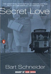 Secret Love (Bart Schneider)