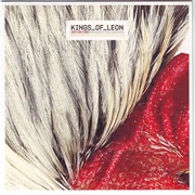 Sex on Fire by Kings of Leon