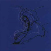 Polar Bear  – Dim Lit