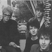 Shadows and Tall Trees (Album Version)