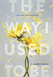 The Way I Used to Be (Amber Smith)