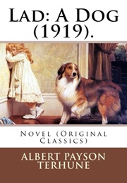 The Hardy Boys #1 (Franklin W. Dixon)