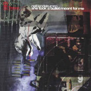 Neil Landstrumm - She Took a Bullet Meant for Me (2001)