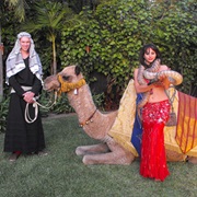 Arabian Nights Party