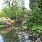 Trompenburg Arboretum