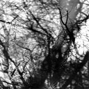 Grouper - Way Their Crept