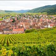 Alsace Wine Road, France