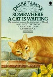 Somewhere a Cat Is Waiting
