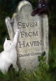Seven From Haven (Daniel Grotta)