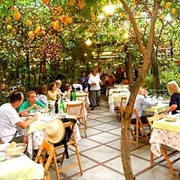 Treat My Parents to Lunch