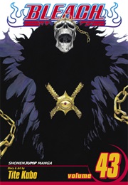 Bleach Volume 43 (Tite Kubo)