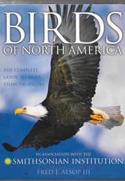 Birds of North America (Fred J Alsop Iii)
