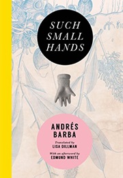 Such Small Hands (Andres Barba)