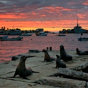 Puerto Baquerizo Moreno, Galápagos Islands
