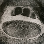 Skullflower - Form Destroyer