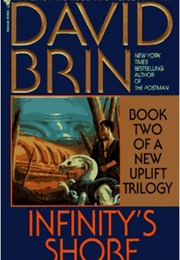 Infinity's Shore (David Brin)