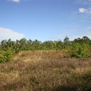 St. Sebastian River Preserve State Park, Florida