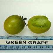 Green Grape