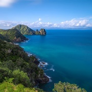 Coromandel Coastal Walkway