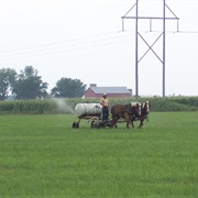 Amish Country, Iowa