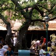 Safari Outpost (1986-1995)