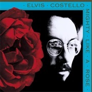 Elvis Costello - Mighty Like a Rose