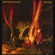Monkeys - Echo & the Bunnymen